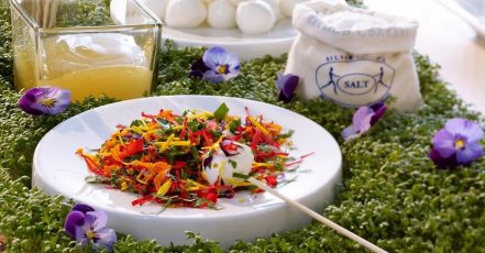 Green Catering / Sustainable Catering – created and offered by KAISERSCHOTE