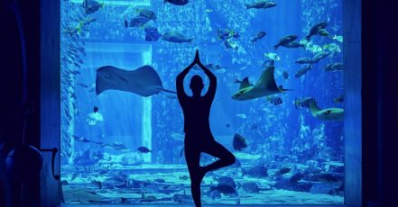 Atlantis, The Palm, will stream a free yoga session from the Lost Chambers Aquarium on June 21, 2022, International Yoga Day.