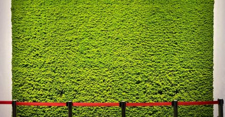 Moss wall, photographed at an event in Berlin, December 2024, © EventMasterBook.de editorial team